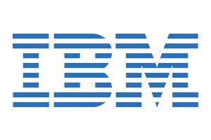 IBM EDI services