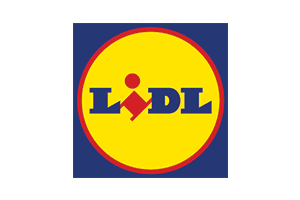 Lidl EDI services