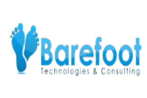 Barefoot Technologies EDI services