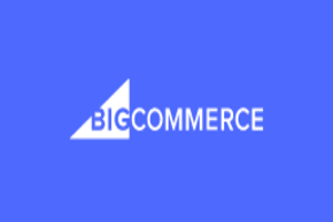 BigCommerce EDI services