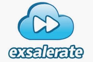 Exsalerate EDI services